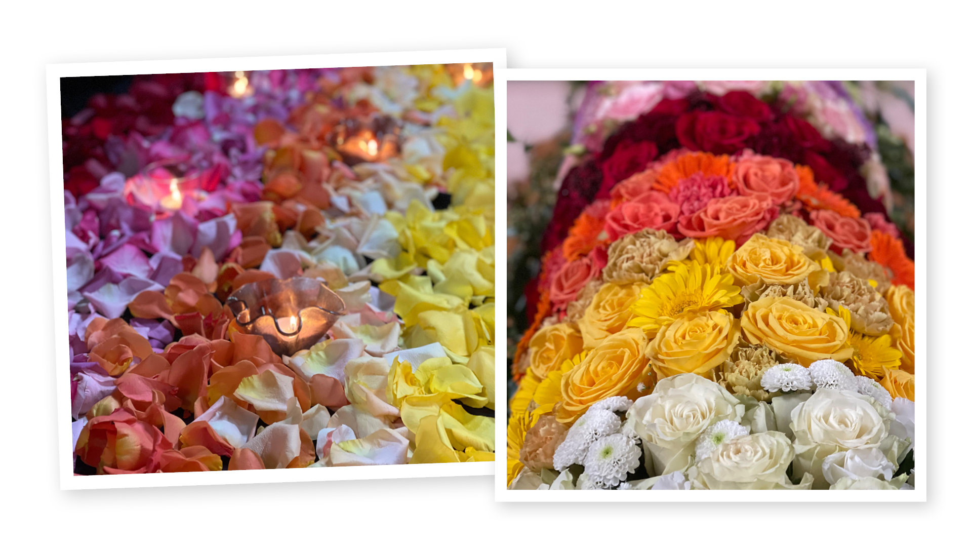 Zwei Detailaufnahmen von Blumendekorationen bei Trauerfeiern von Benedict Bestattungen, die aus sich abwechselnden farbigen Blüten bestehen: Von weiß über gelb, bis hin zu rot und violett eröffnet sich ein ganzes Spektrum